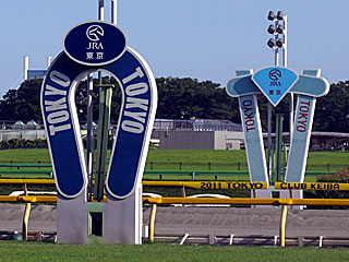 東京競馬場（通常）