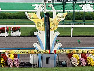 京都競馬場（2011年菊花賞）