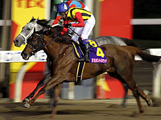 ミラクルレジェンド(JBCレディスクラシック)