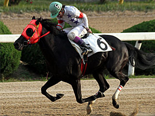 デュナメス(雲仙岳特別)