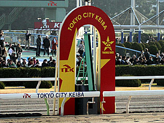 大井競馬場（2011年トゥインクルレース25周年記念）