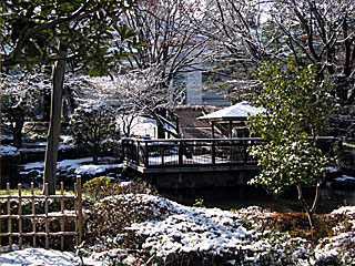 東京競馬場雪化粧