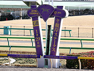 2012年近代競馬150周年記念根岸ステークス