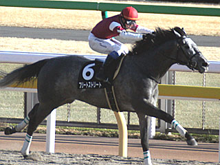 フリートストリート(ヒヤシンスステークス)