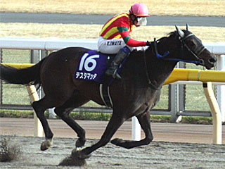 テスタマッタ(フェブラリーステークス)