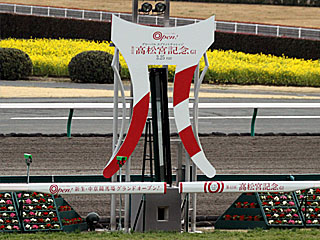 中京競馬場（2012年高松宮記念）