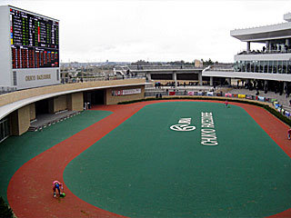 中京競馬場パドック