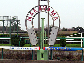 中山競馬場芝コース開放