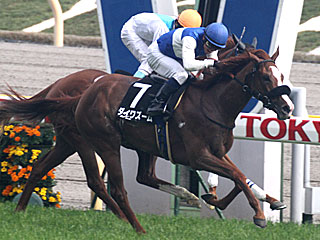 ダイワズーム(スイートピーステークス)