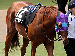 ナムラタイタン(オアシスステークス)