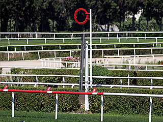 【トルコ】ヴェリエフェンディ競馬場（芝コース）