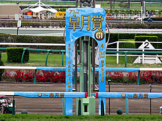 中山競馬場（2013年皐月賞）