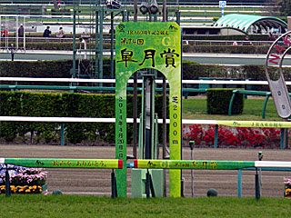 中山競馬場（2014年皐月賞）