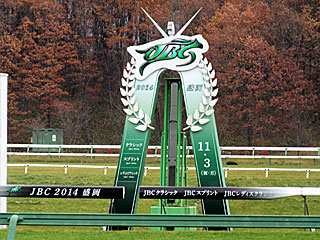 盛岡競馬場（2014年JBC）