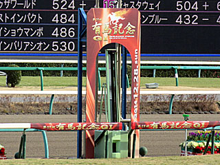 中山競馬場（2014年有馬記念）