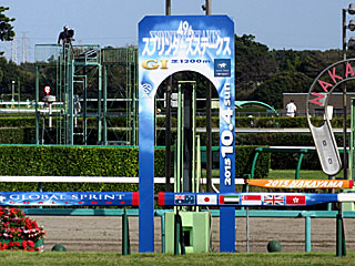 中山競馬場（2015年スプリンターズステークス）