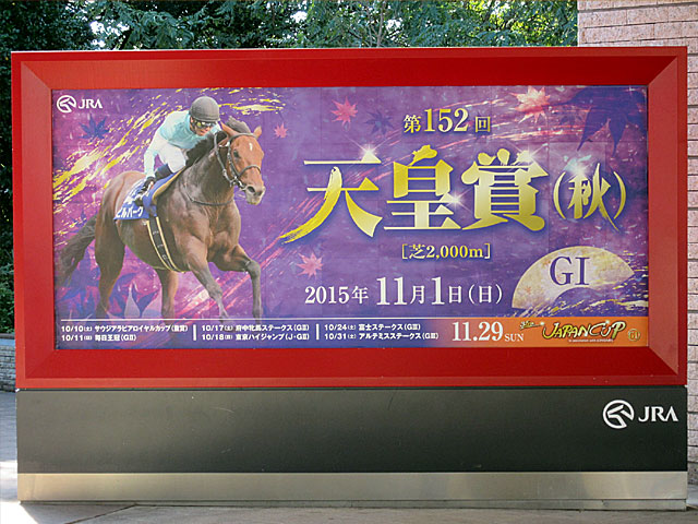 天皇賞 15年11月1日の競馬日記 東京競馬場どっとこむ 天皇賞 15年11月1日の競馬日記 東京競馬場どっとこむ