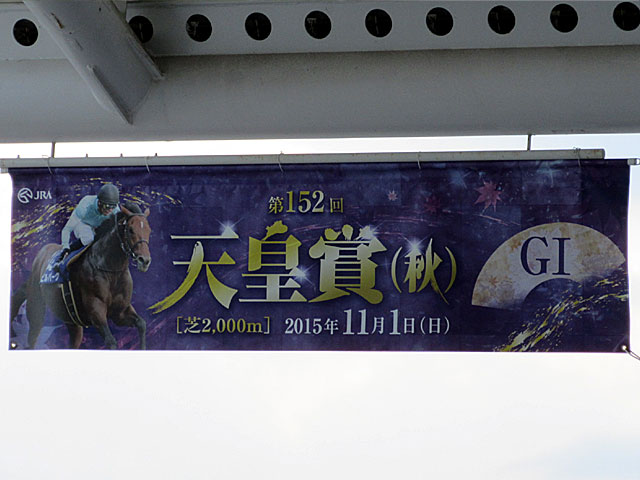 天皇賞 15年11月1日の競馬日記 東京競馬場どっとこむ 天皇賞 15年11月1日の競馬日記 東京競馬場どっとこむ