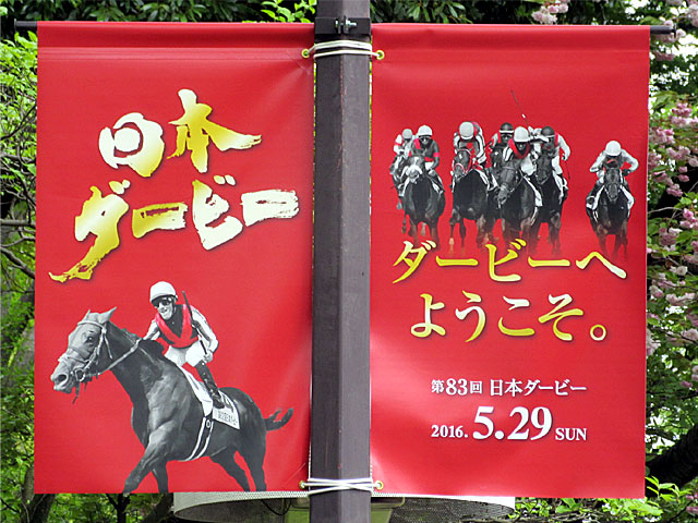 東京優駿 日本ダービー 16年5月29日の競馬日記 東京競馬場どっとこむ