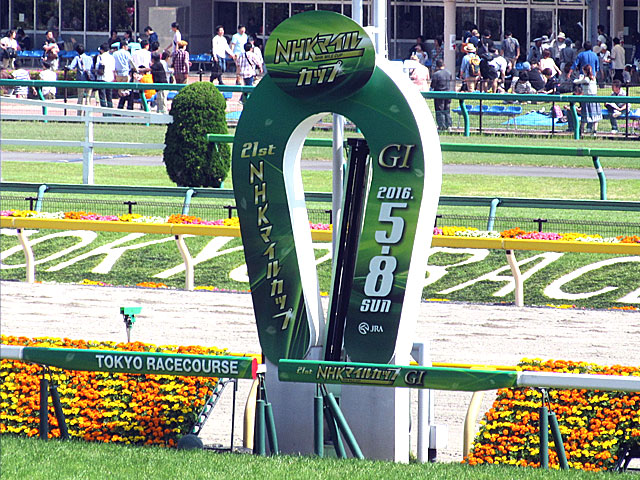 nhkマイルカップ 16年5月8日の競馬日記 東京競馬場どっとこむ nhkマイルカップ 16年5月8日の競馬日記 東京競馬場どっとこむ