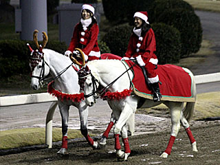 川崎競馬場コスプレ誘導馬