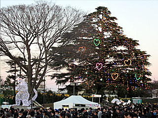 中山競馬場イルミネーション