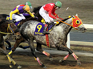 ケイアイレオーネ(報知オールスターカップ)