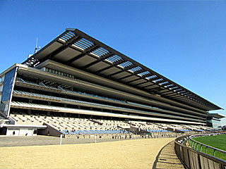 東京競馬場