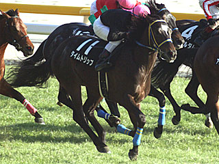 タイムトリップ(クロッカスステークス)