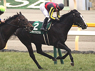 ブラックスピネル(東京新聞杯)