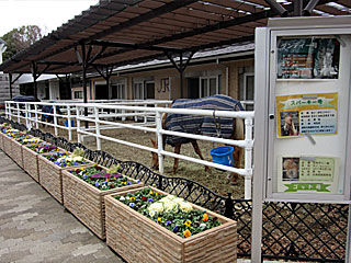 乗馬の展示コーナー