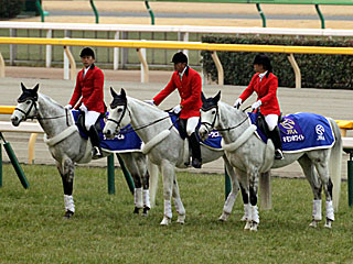 誘導馬(シュガーヒル、ユーワビスケット、キモンホワイト)