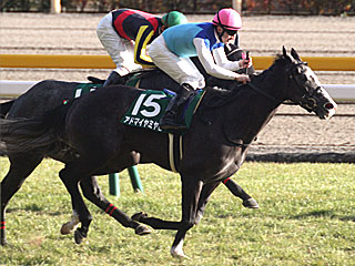 アドマイヤミヤビ(クイーンカップ)