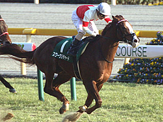 スワーヴリチャード(共同通信杯)