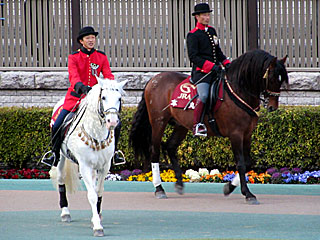 誘導馬＆アンダルシアンによるお見送り