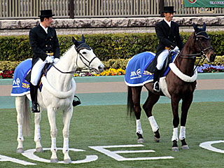 誘導馬＆アンダルシアンによるお見送り