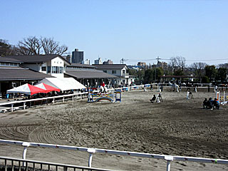 乗馬センター