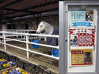 乗馬の展示コーナー