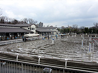 乗馬センター