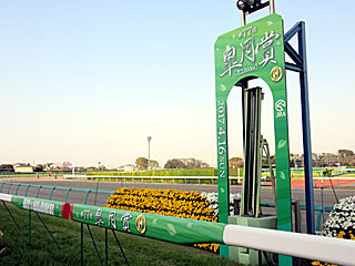 中山競馬場 | 芝コース開放