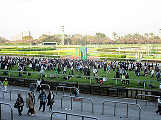 中山競馬場 | 芝コース開放