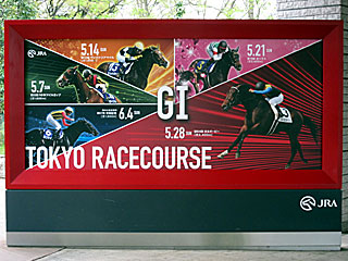 東京競馬場