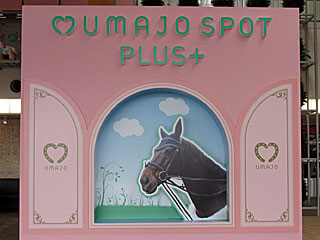 UMAJO SPOT PLUS