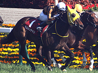 モズカッチャン(フローラステークス)