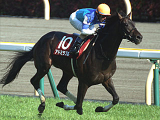 アドミラブル(青葉賞)