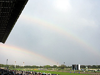 ダブルレインボー@東京競馬場