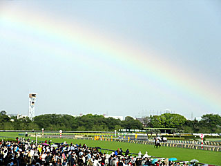 虹＠東京競馬場