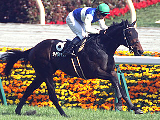 ダイワキャグニー(プリンシパルステークス)