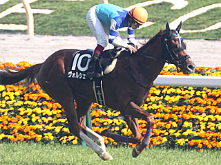 ヴォルシェーブ(メトロポリタンステークス)