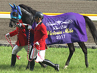 アドマイヤリード(ヴィクトリアマイル)